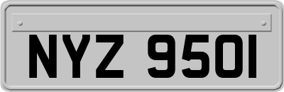 NYZ9501