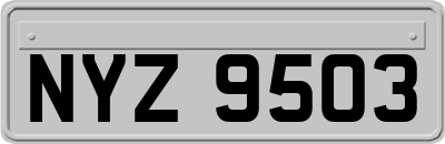 NYZ9503