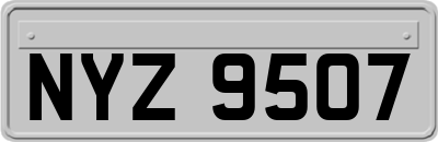 NYZ9507