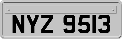 NYZ9513