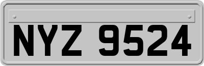NYZ9524