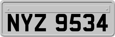 NYZ9534