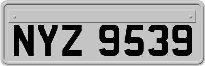 NYZ9539