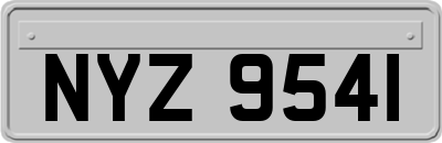 NYZ9541