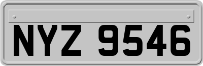 NYZ9546