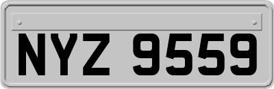 NYZ9559