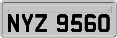 NYZ9560