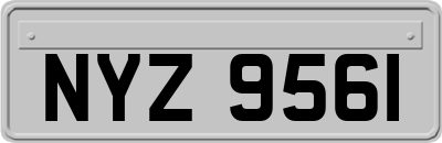 NYZ9561