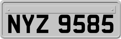 NYZ9585
