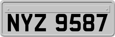 NYZ9587