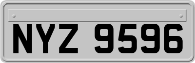 NYZ9596