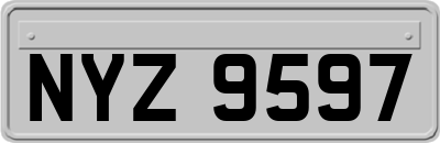 NYZ9597