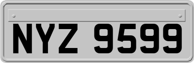 NYZ9599
