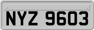 NYZ9603