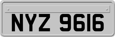 NYZ9616