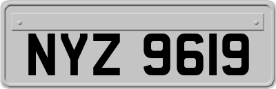 NYZ9619