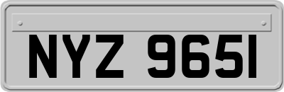 NYZ9651
