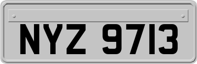 NYZ9713