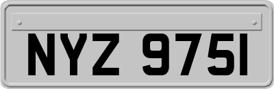 NYZ9751