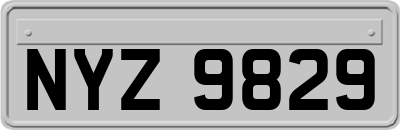 NYZ9829