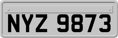 NYZ9873