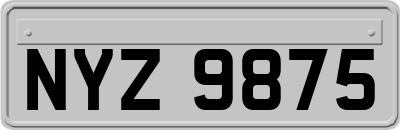 NYZ9875