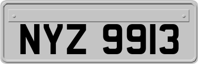 NYZ9913