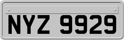 NYZ9929