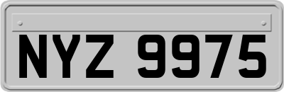 NYZ9975