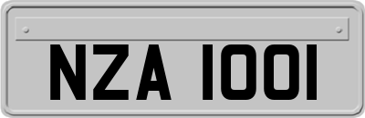 NZA1001