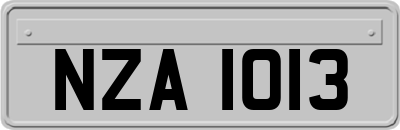 NZA1013