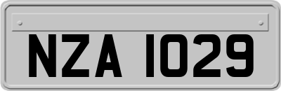 NZA1029