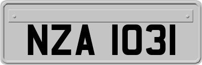 NZA1031