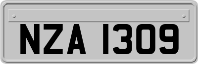 NZA1309