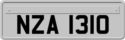 NZA1310