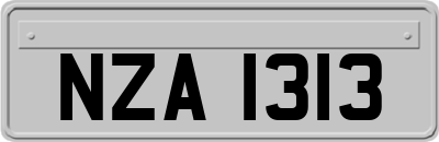 NZA1313