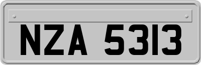 NZA5313