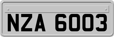 NZA6003