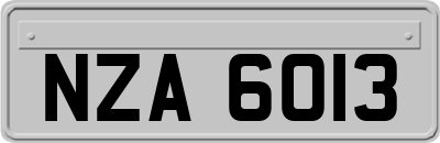 NZA6013