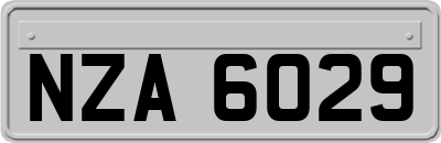 NZA6029