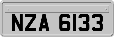NZA6133