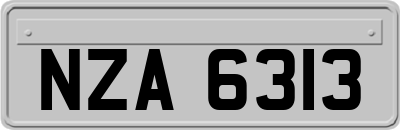 NZA6313