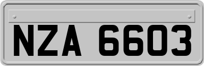 NZA6603