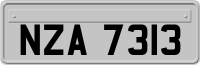 NZA7313
