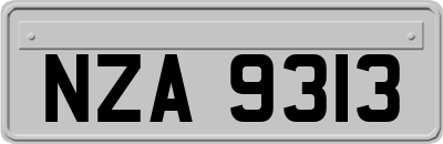 NZA9313