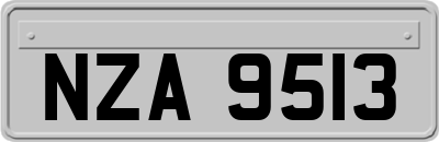 NZA9513