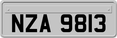 NZA9813