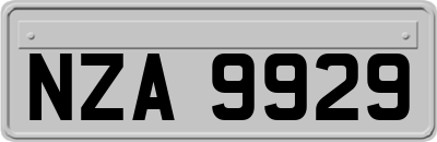 NZA9929