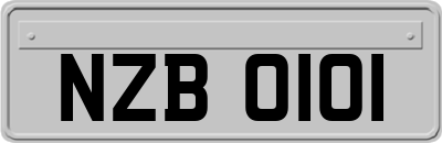 NZB0101