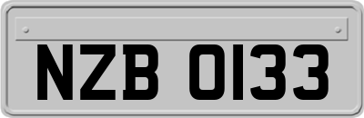 NZB0133